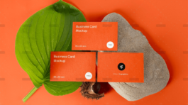 demo-attachment-1632-5q71up9s