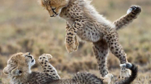 An Adventure Date Night-ondelights.com